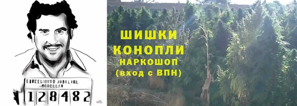 2c-b Ельня