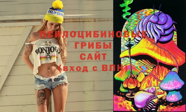 тгк Елабуга