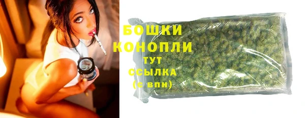 сатива Дмитриев