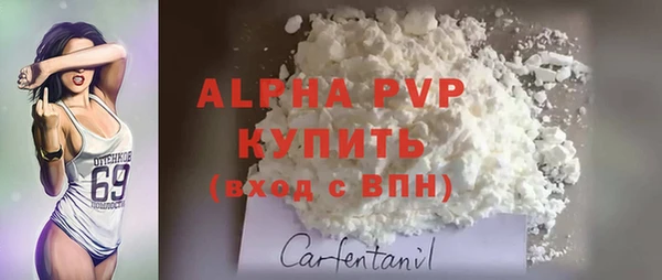 дмт Дмитровск
