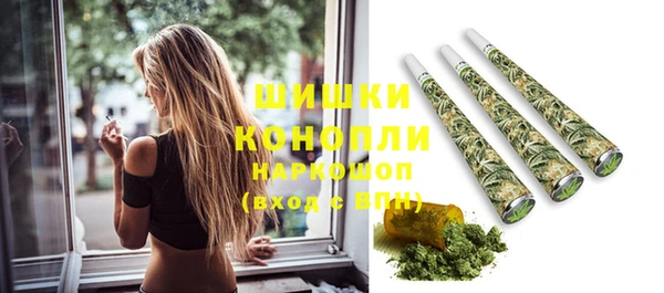 винт Дмитров