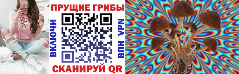 Галлюциногенные грибы Psilocybe  даркнет сайт  мега вход  Буинск 
